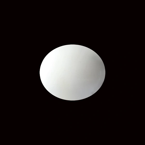 White Coral - 5.52 carats